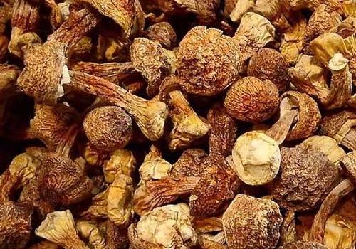 灵彦儿保健养生